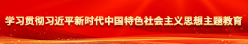 大鸡巴干逼学习贯彻习近平新时代中国特色社会主义思想主题教育